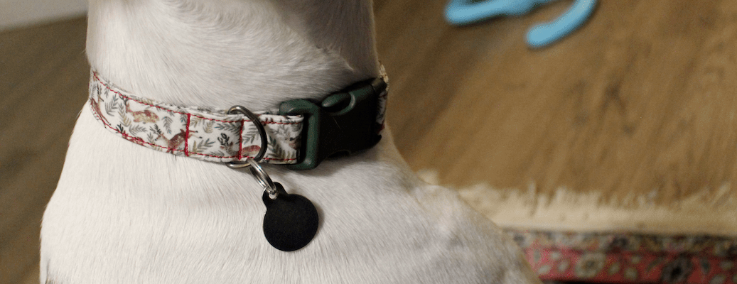 Handmade DIY dog collar reindeer 3